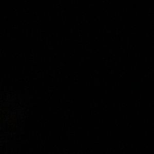 Meet your Posher, Jerika